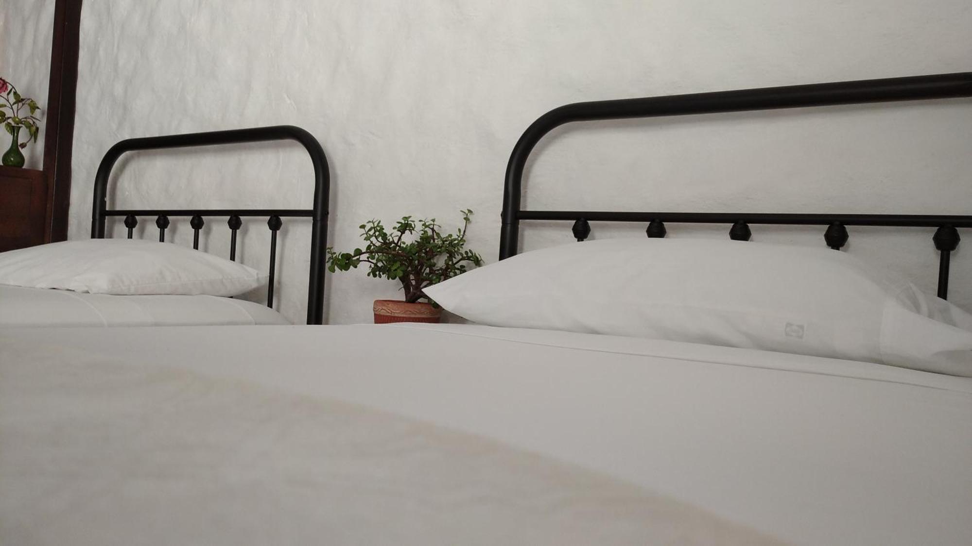 Casa Luna Hotel Campestre & Spa 산힐 외부 사진